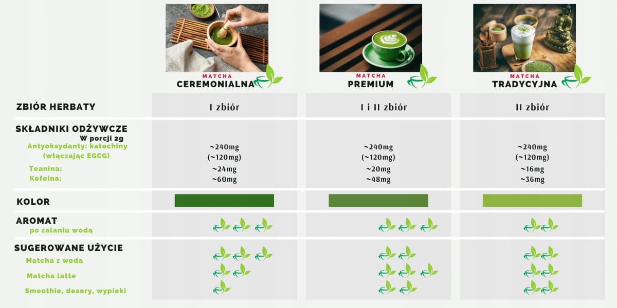 Rodzaje herbaty - Ouritsu Matcha